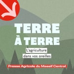 Logo of the podcast Terre à Terre Podcast Terre à Terre