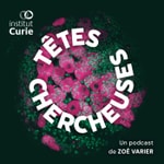 Têtes Chercheuses Têtes Chercheuses