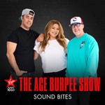 Logo of the podcast The Ace Burpee Show Podcast The Ace Burpee Show