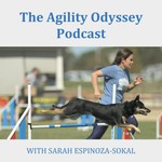The Agility Odyssey Podcast Podcast The Agility Odyssey Podcast