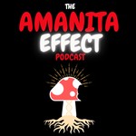 The Amanita Effect Podcast The Amanita Effect