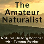 The Amateur Naturalist Podcast The Amateur Naturalist