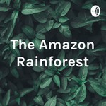 Logo of the podcast The Amazon Rainforest Podcast The Amazon Rainforest