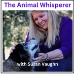 Logo of the podcast The Animal Whisperer with Suzan Vaughn: Animal Communication Stories