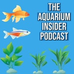 Logo of the podcast The Aquarium Insider Podcast Podcast The Aquarium Insider Podcast