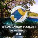 Podcast The Aquarium Podcast (Mr Brightfryed)