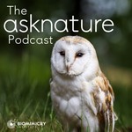 Logo of the podcast The AskNature Podcast Podcast The AskNature Podcast