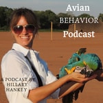 The Avian Behavior Podcast The Avian Behavior Podcast
