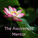 Logo of the podcast The Awareness Mentor Podcast The Awareness Mentor