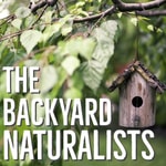 Logo of the podcast The Backyard Naturalists Logo of the podcast The Backyard Naturalists
