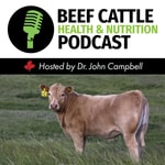 Logo of the podcast The Beef Cattle Health and Nutrition Podcast