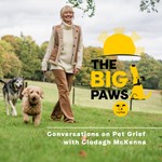 Logo of the podcast The Big Paws Podcast Podcast The Big Paws Podcast
