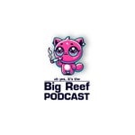 Logo of the podcast The Big Reef Podcast Podcast The Big Reef Podcast
