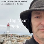 Podcast The Big Year Podcast