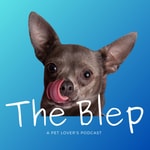 Logo of the podcast The Blep Show Podcast The Blep Show