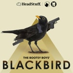 Logo of the podcast The Bootsy Boys' Blackbird Podcast The Bootsy Boys' Blackbird