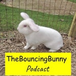 Logo of the podcast The Bouncing Bunny Podcast The Bouncing Bunny
