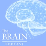Logo of the podcast The Brain Podcast Podcast The Brain Podcast