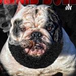 Logo of the podcast The Bully the Kid Show Podcast The Bully the Kid Show