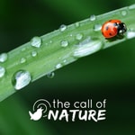 Logo of the podcast The Call Of Nature Podcast The Call Of Nature