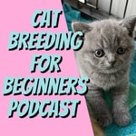The Cat Breeding For Beginners Podcast The Cat Breeding For Beginners Podcast
