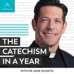 Logo of the podcast The Catechism in a Year (with Fr. Mike Schmitz)