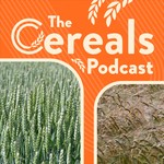 Logo of the podcast The Cereals Podcast Podcast The Cereals Podcast