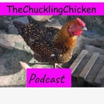 Logo of the podcast The Chuckling Chicken Podcast The Chuckling Chicken
