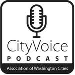 Logo of the podcast The CityVoice Podcast Podcast The CityVoice Podcast