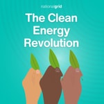The Clean Energy Revolution