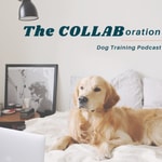 Logo of the podcast The COLLAB Dog Training Podcast Podcast The COLLAB Dog Training Podcast