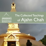 Logo of the podcast The Collected Teachings of Ajahn Chah - Audiobook Logo of the podcast The Collected Teachings of Ajahn Chah - Audiobook