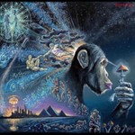 Logo of the podcast The Conscious Ape Podcast Podcast The Conscious Ape Podcast