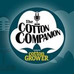 Logo of the podcast The Cotton Companion Podcast The Cotton Companion