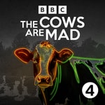 Logo of the podcast The Cows Are Mad Podcast The Cows Are Mad