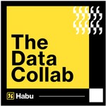 Logo of the podcast The Data Collab Podcast The Data Collab
