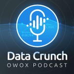 Logo of the podcast The Data Crunch Podcast The Data Crunch