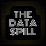 Logo of the podcast The Data Spill Podcast The Data Spill