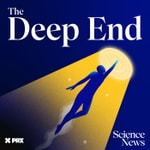 Logo of the podcast The Deep End Podcast The Deep End