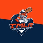 The Detroit Tigers Minor League Report Podcast Podcast The Detroit Tigers Minor League Report Podcast