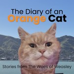 Podcast The Diary of an Orange Cat