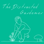 The Distracted Gardener 