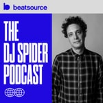 Logo of the podcast The DJ Spider Podcast Podcast The DJ Spider Podcast