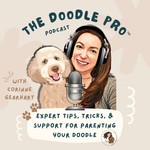 The Doodle Pro®: Positive Dog Training for Calm Doodles Podcast The Doodle Pro®: Positive Dog Training for Calm Doodles