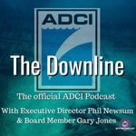 Logo of the podcast The Downline Podcast The Downline