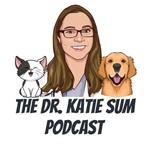Logo of the podcast The Dr. Katie Sum Podcast Podcast The Dr. Katie Sum Podcast
