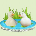 Logo of the podcast The Duck Ladies Pondcast Podcast The Duck Ladies Pondcast
