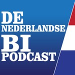 Logo of the podcast The Dutch BI Podcast Podcast The Dutch BI Podcast