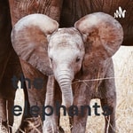 Logo of the podcast the elephants Podcast the elephants