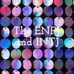 Logo of the podcast The ENFJ and INTJ Podcast The ENFJ and INTJ